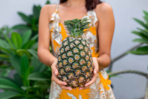 Pineapple Plant